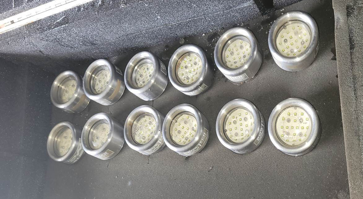 24 x Bowtech LED Lights