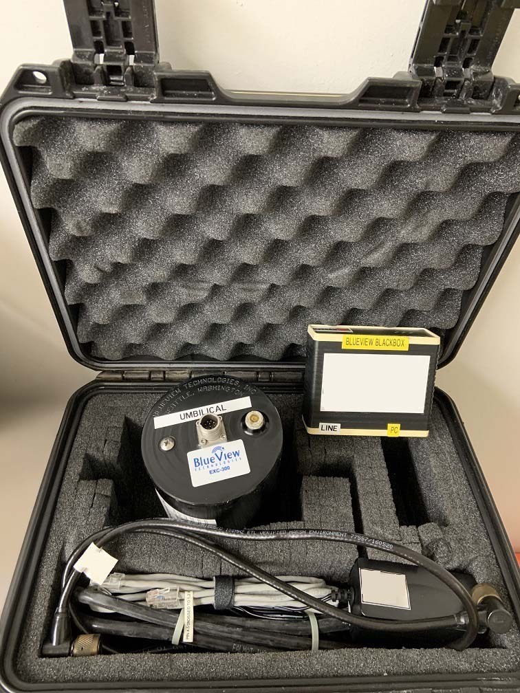 BlueView Ethernet Extender