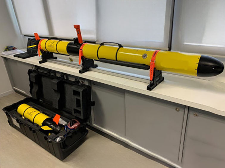 L3 Harris IVER3 (AUV)