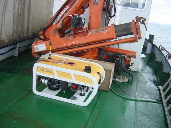 Ippodamus ROV