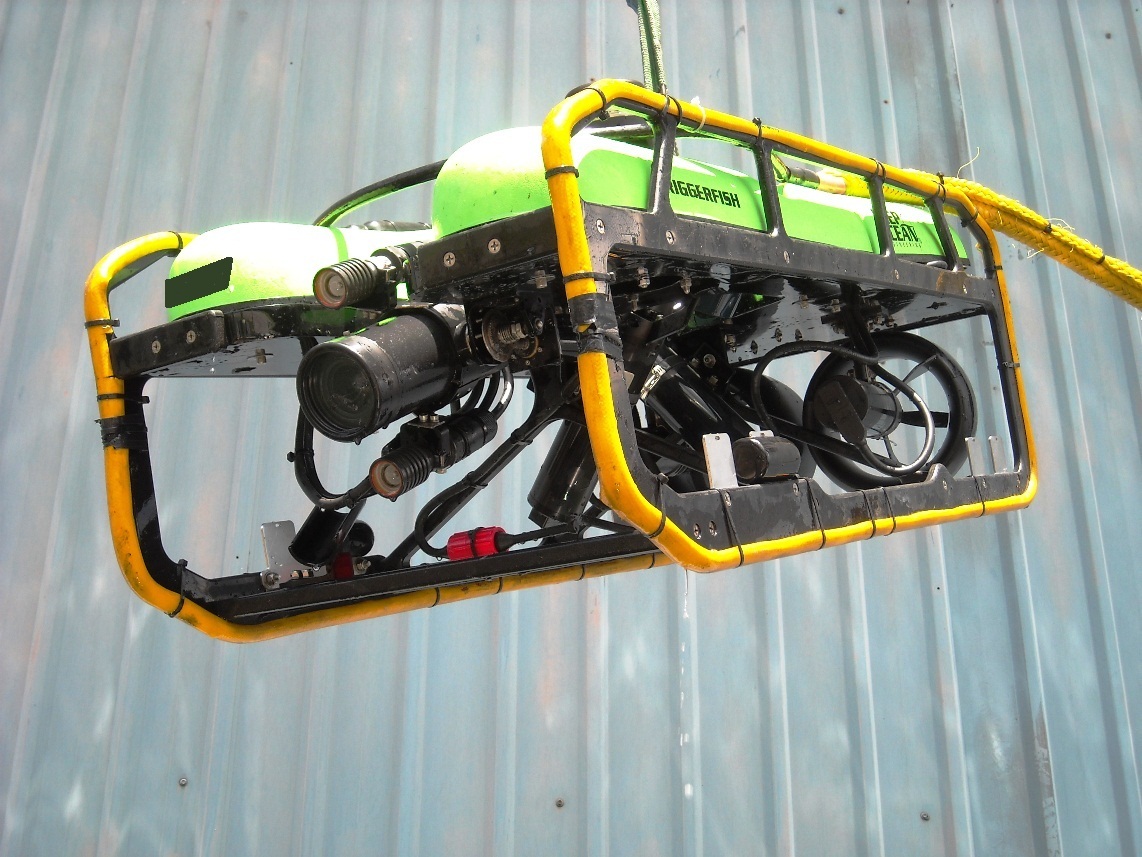 DOE Triggerfish ROV